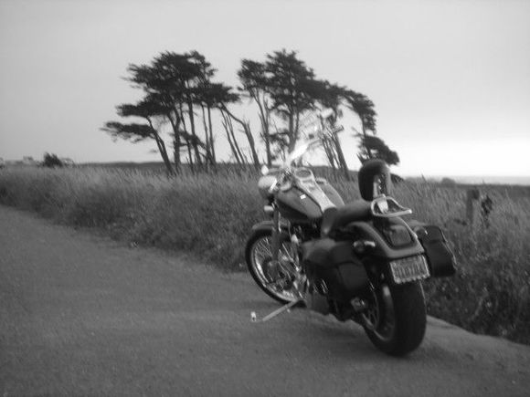 Fort Bragg
2010