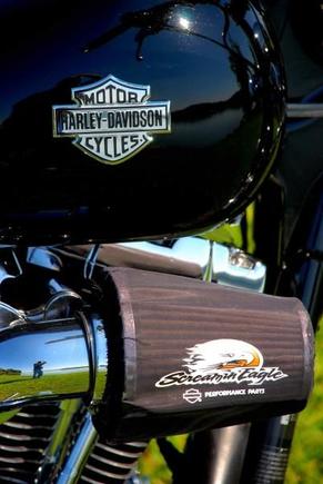 New Bike Pic 4