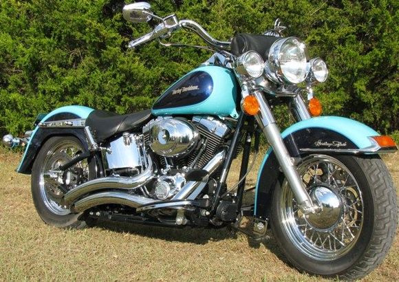 Harley6!
