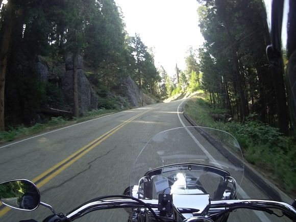 On 198 into Sequoia