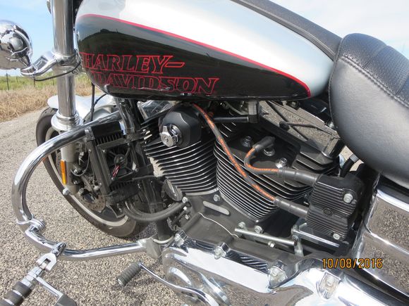 2014 FXDL