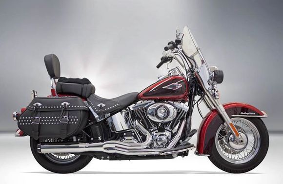 Our bike from the Bassani catalog.