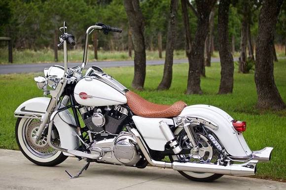 white stallion