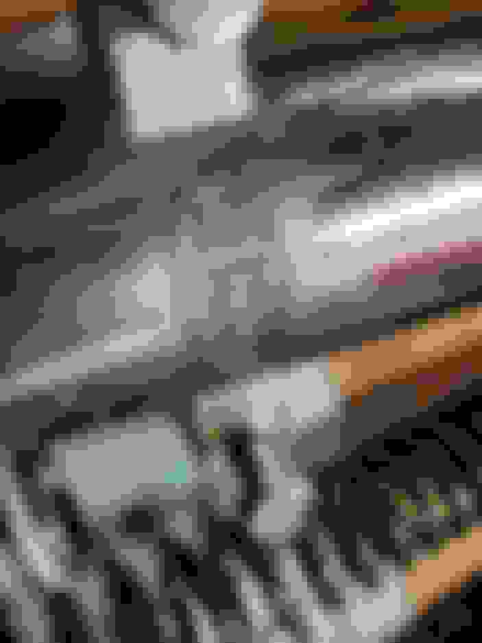 What rebuild kit for these Lifeline forks on 1980 FLH? Harley Davidson Forums