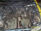 James` 97 Honda accord EX
