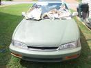 Italian Olive 96 EX. Italian Olive 96 EX.