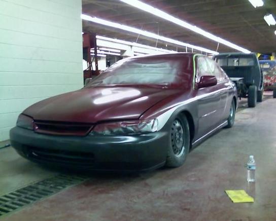 accord painted no clear