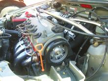 its slowly coming along