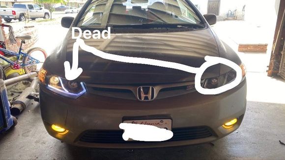 Those are both dead, passenger side light works and so do both blinkers. 