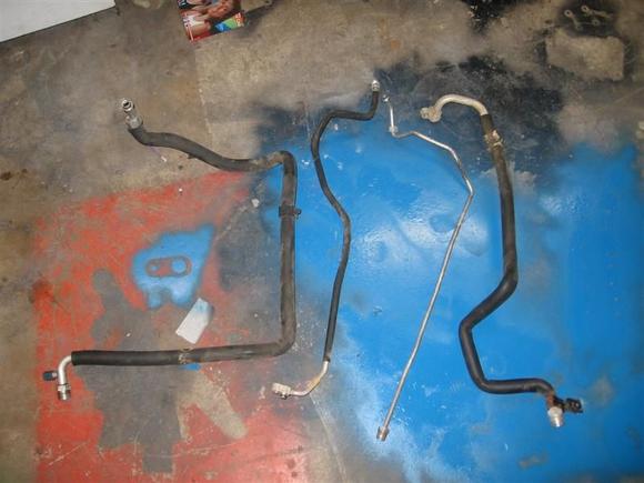 IMG 0065 (Medium)