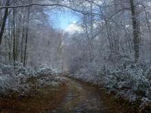 on my Fourwheeler ridding up a trail last Oct in the NC Mtn's