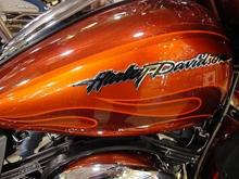 My two favorite colors,,,orange and orange,,,sometimes black!!!