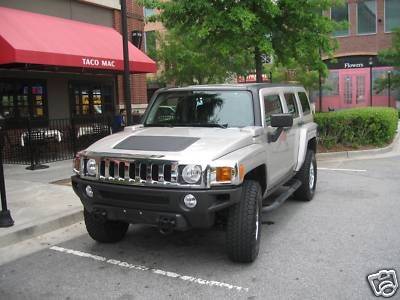 Previous owner's "for sale" pic