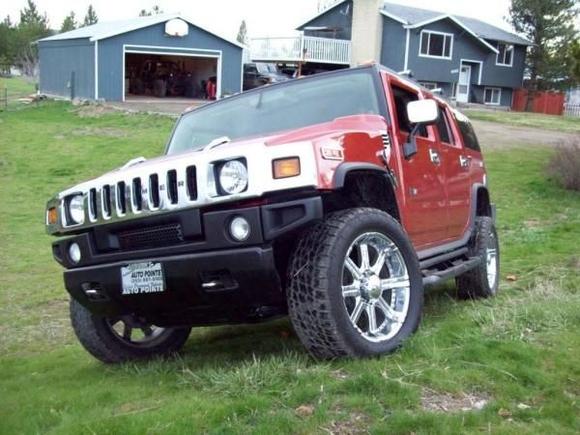 h2b
the day we picked her up..