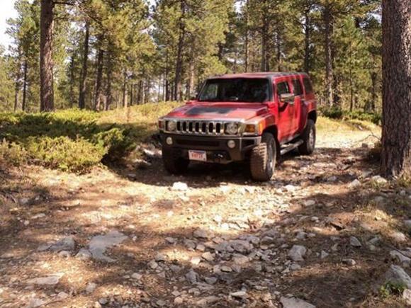 Trail