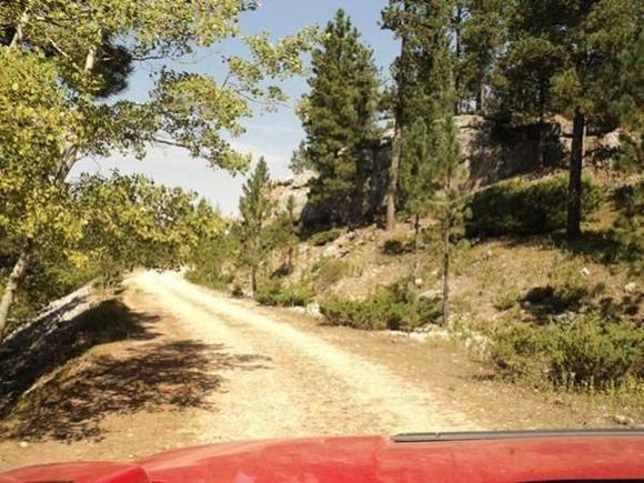 Logging Rd.
