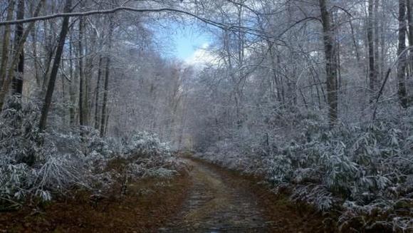 on my Fourwheeler ridding up a trail last Oct in the NC Mtn's