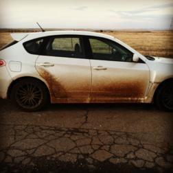After a year I finally got her dirty! You're a dirty girl!