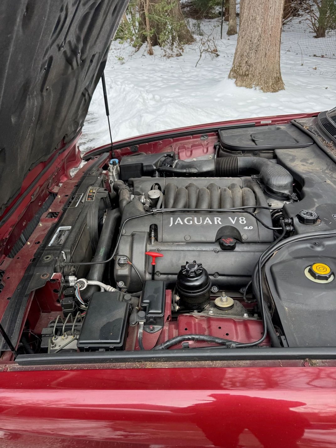 2000 Jaguar XJ8 - Well-maintained 2000 Jaguar XJ8 for sale, new transmission needed - Used - VIN SAJDA14C9YLF17000 - 67,470 Miles - 8 cyl - Automatic - Sedan - Red - Great Falls, VA 22066, United States