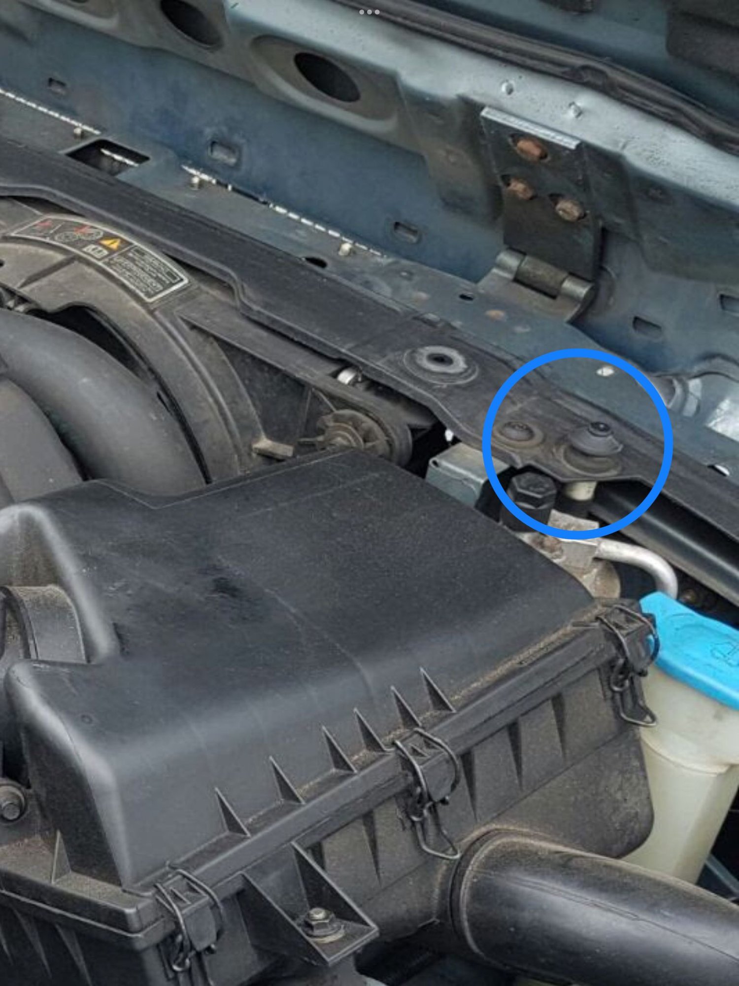 Bonnet Switch circled in blue 