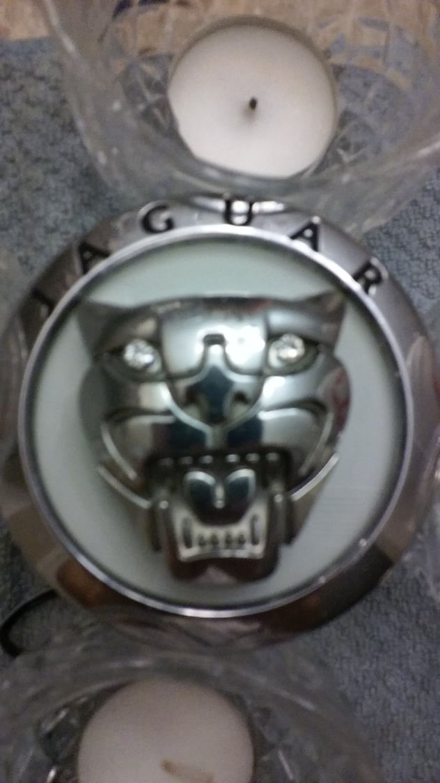 jaguar grill led badge