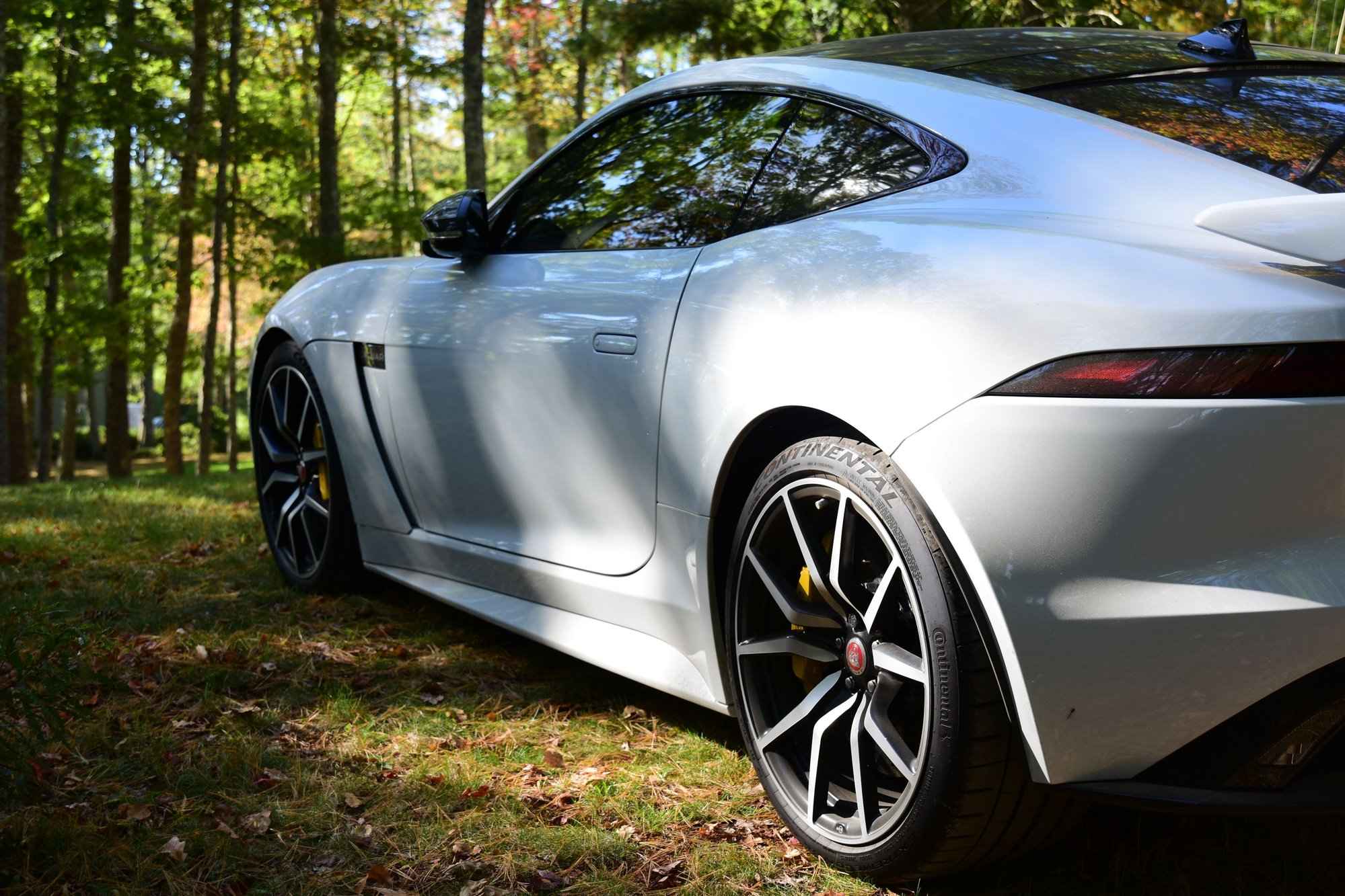 Nice lighting on the one SVR in the group