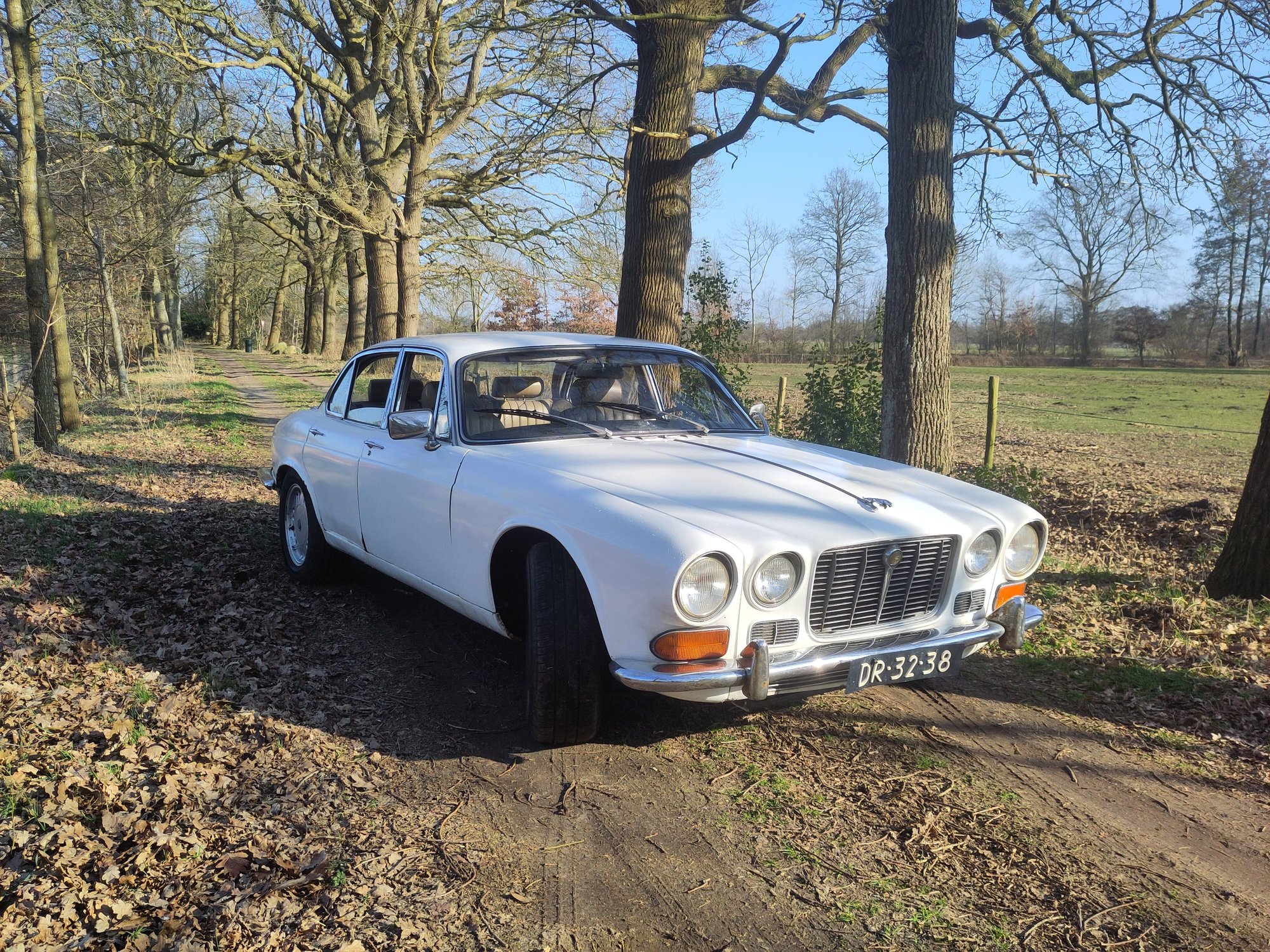My daily driver. A 1970 series 1