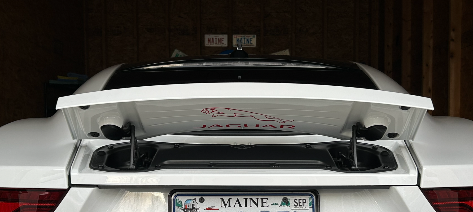 Quality 3M tape, $10 cost and 3 minutes to install.  Removed the JAGUAR lettering and kept the leaper only for a less cluttered look.  