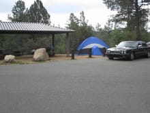 Who takes their Jaguar camping?