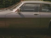 Isn't She lovely but don't leave her out in the rain!