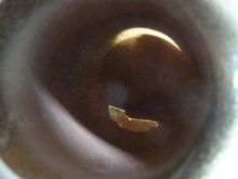 RH leg with Chrome flashing? obstructing the flow path.