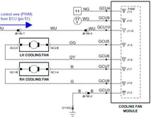 CFM (newer version)