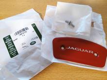 These are what I bought