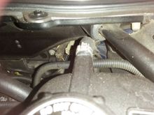 Unknown hose clamp with flash