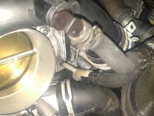 Right there in the middle of the picture by the throttle body.