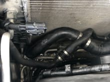 Lower radiator hose is disconnected from radiator as well as the fan shroud is removed. 