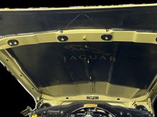 Fiberglass sound deadening backed hood liner. Gold plated hardware