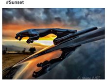 Pretty cool when Jaguar actually comments and "likes" your photo on Instagram!