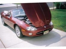 Jaguar 005