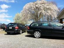 The twins. seoerated at birth, reunited in Spring