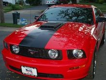 2007 Stang 3a