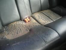 Rear seats as found after the flood (heartbreaker)