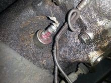 This could be the reason the speedo doesnt work