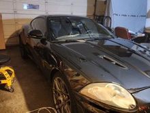 Untitled Album 2025-03-15 07:19:01