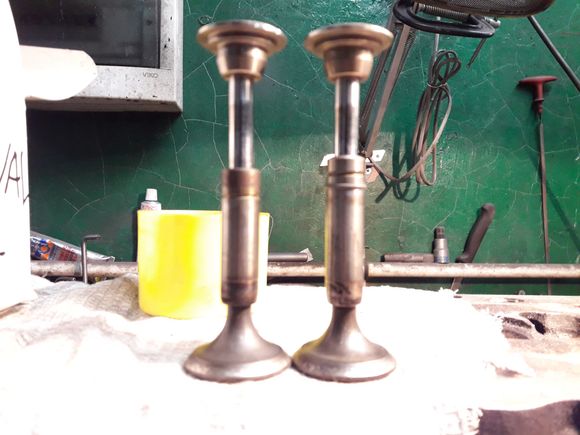 Both valves is sodium