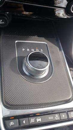 Carbon Fiber Trim - I actually looks better in the picture.