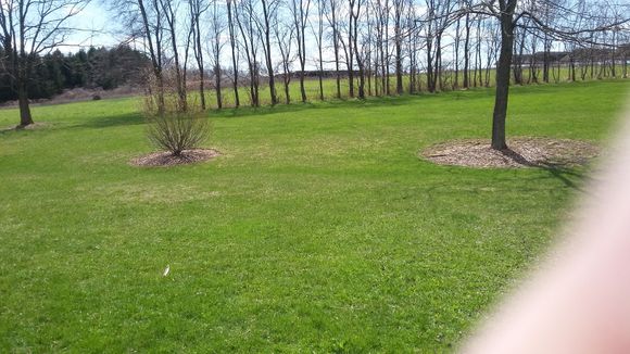 His own hay field.. 