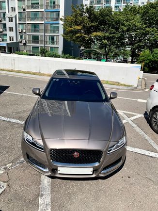 Jaguar in my parking lot (korea)