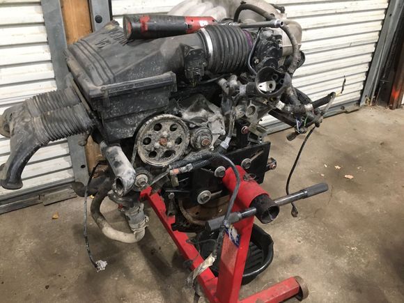 The replacement engine on stand 