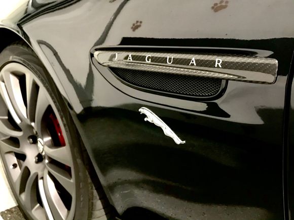 New Carbon Power Vents...